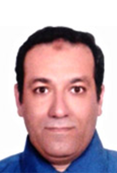 Prof. Dr. Abdelsatar Arafa