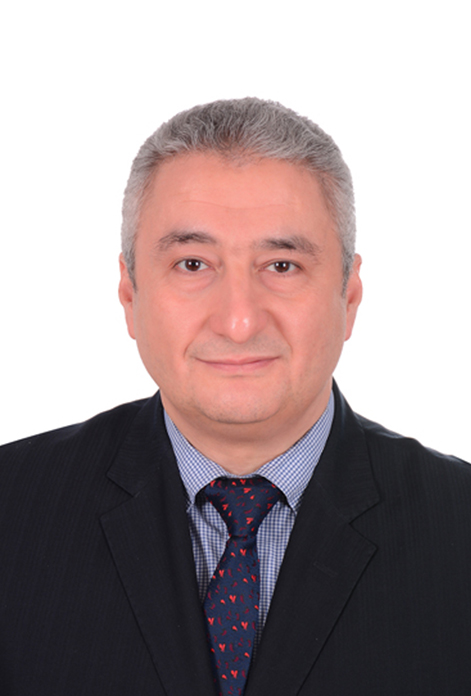 Prof. Dr. Haitham Mohamed Amer