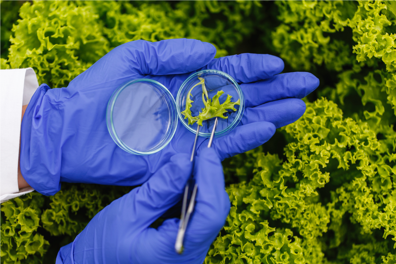 Opportunity for plant virologists